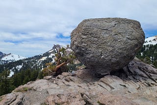 a boulder and a bristlecone pine in a high ridge in California