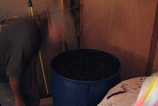 Blurry action photo in a dimly lit wine cellar showing a blue barrel full of fermenting grapes.