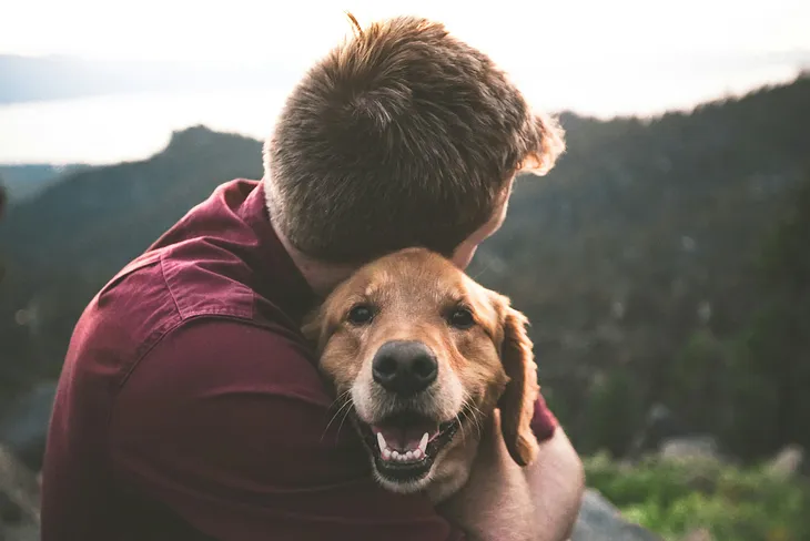 More Than Man’s Closest companion: The Forging ahead through Relationship Among Canines and People