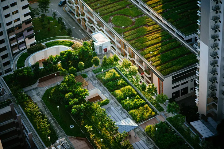 Green Roofs in Urban Environments