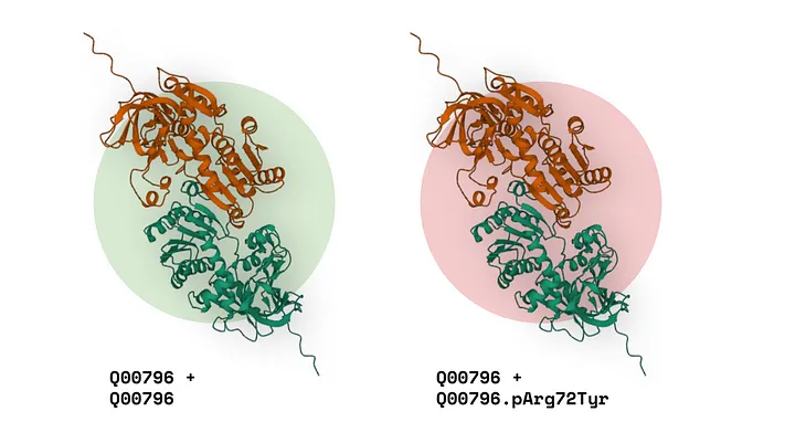 How I Predicted the Effect of Mutations on Protein Interactions Using AlphaFold