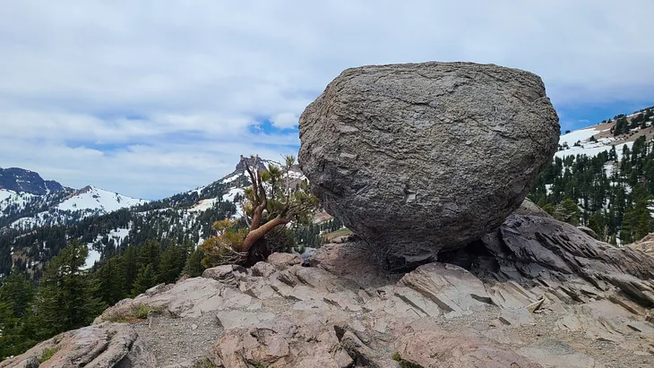 a boulder and a bristlecone pine in a high ridge in California