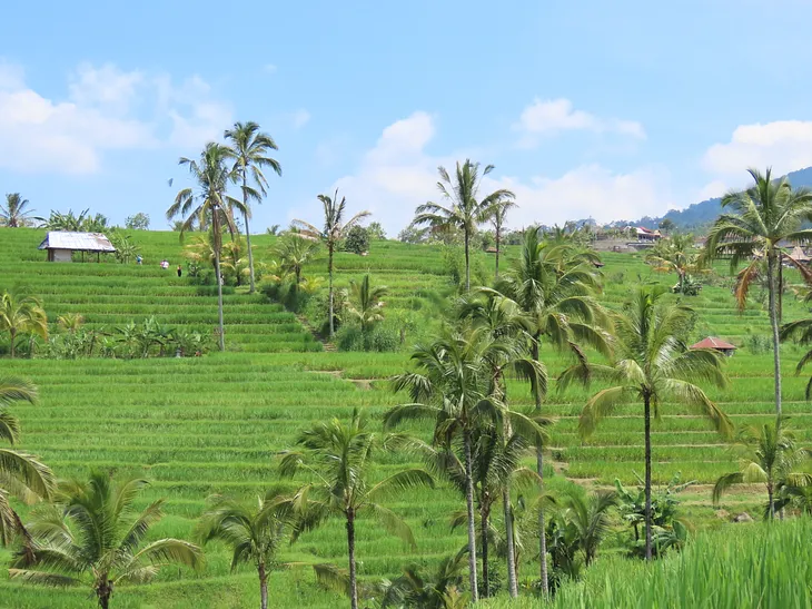 Why I Will Not Visit Bali Again
