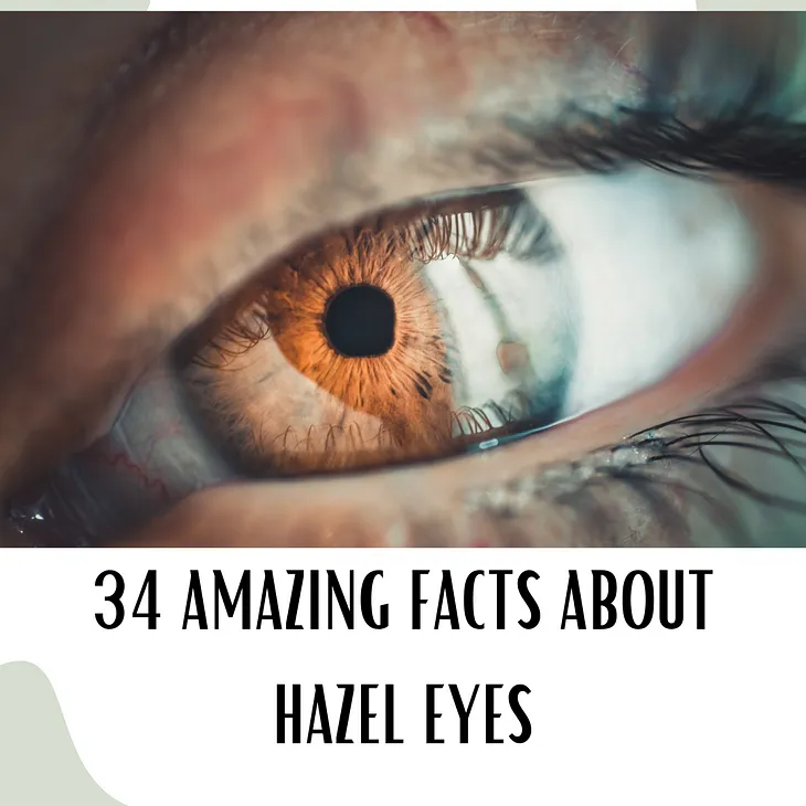 How Rare Are Hazel Eyes? 34 Facts and Superstitions about the Hazel Eye Color