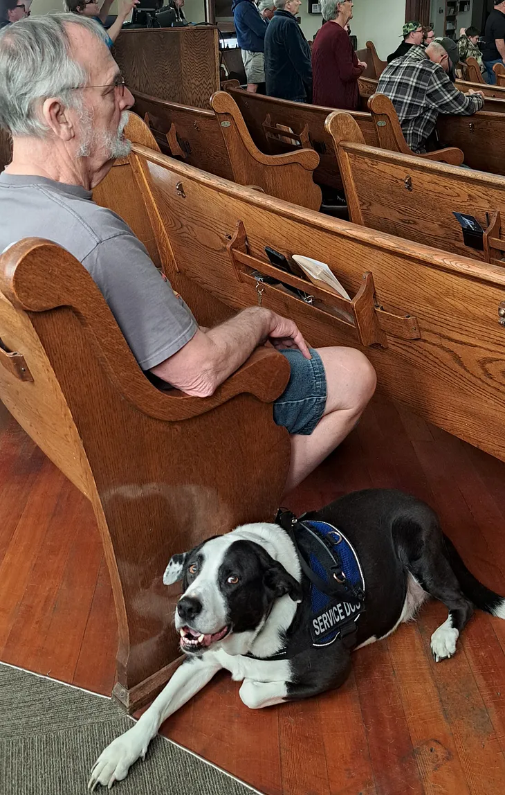 Gray haired man with service dog in church