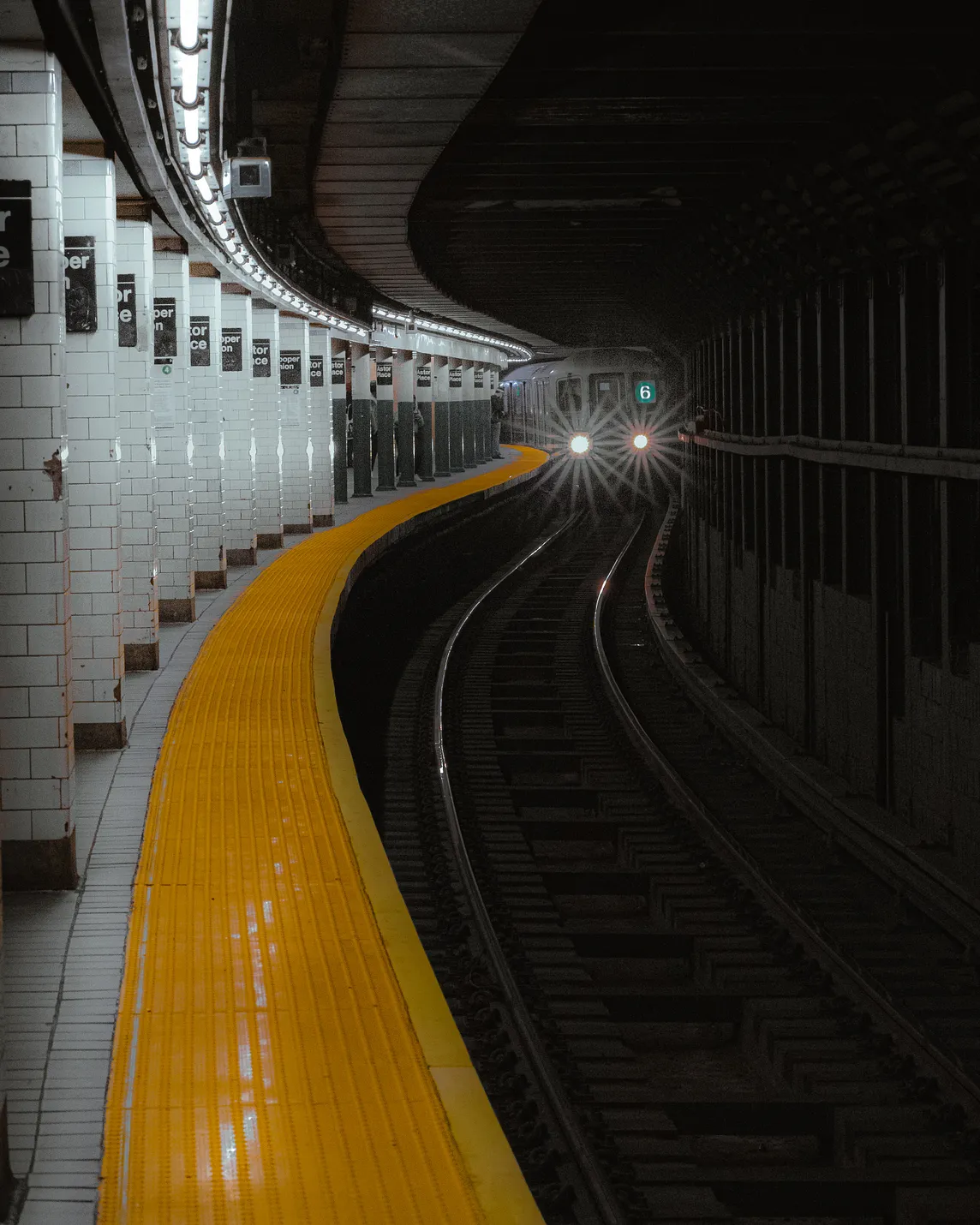What I Learned in My Time As a New York City Subway Rat